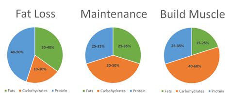 Macronutrients Ratio | Bruin Blog