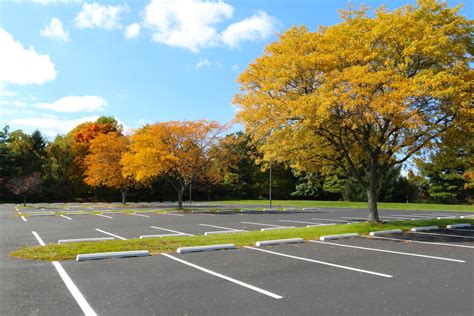 5 Ways To Make Your Parking Lot Eco-Friendly