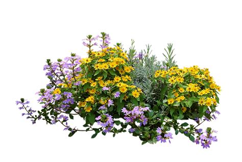 Garden PNG Transparent Images - PNG All