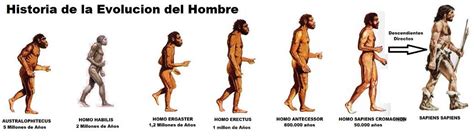 Preguntas Sobre La Evolucion Del Hombre En Modo - Moda de Hombre