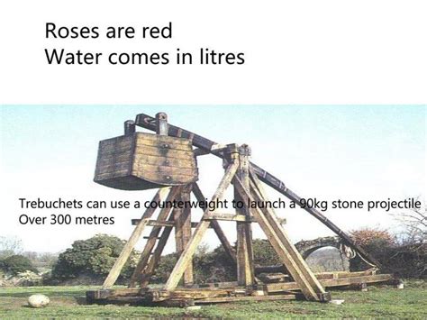 Massive Trebuchet Meme Collection - 14+ Hilarious Puns