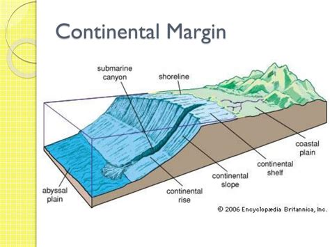 PPT - Grade 8 Science PowerPoint Presentation, free download - ID:3117312