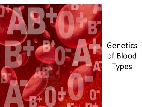 PPT - Genetics of Blood Types PowerPoint Presentation, free download - ID:5570617