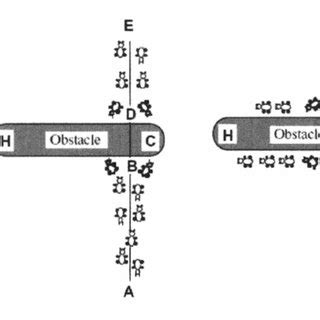 Single Ant Obstacle Experiment | Download Scientific Diagram