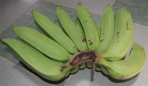 Suria Helang Lui: Bananas - Pisang Nangka