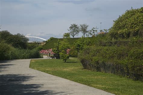 Luis A. López Fotografía: Parque de las Las Llamas