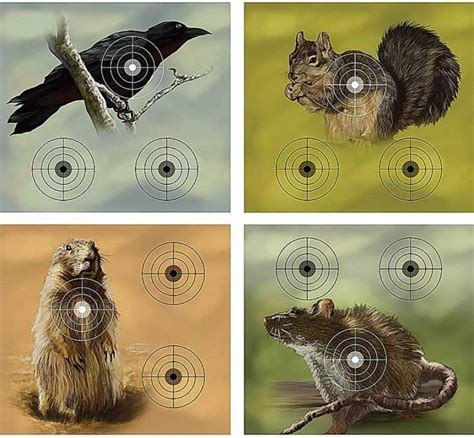 11 Best BB Gun Targets in 2021 - Air Rifle Targets - Marine Approved