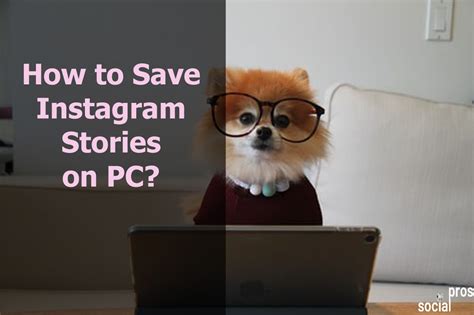 How to Save Instagram Stories on PC? - Social Pros