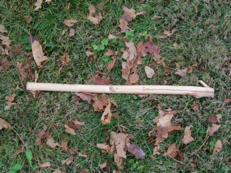 What Is an Atlatl? How Is It Used? | Wapello Warbler's Louisa County