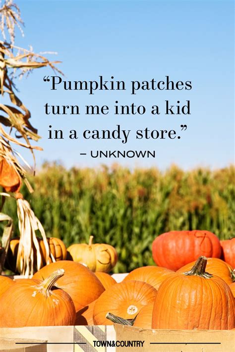 14 Pumpkin Patch Quotes for Fall - Best Pumpkin Quotes to Celebrate Autumn