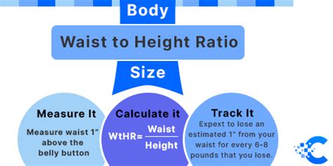 Waist to Height Ratio Calculator | Save Your Health