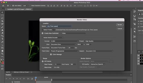 How to Make a Blooming Flower Time-Lapse: A Beginner's Guide