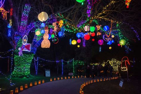 Best Botanical Garden Holiday Lights Winners (2019) | USA TODAY 10Best