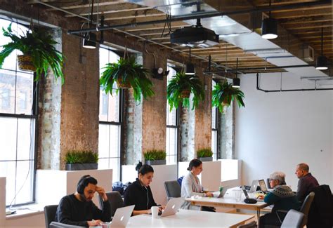 The 7 Best Office Plants To Enhance Any Workspace - Bond Collective