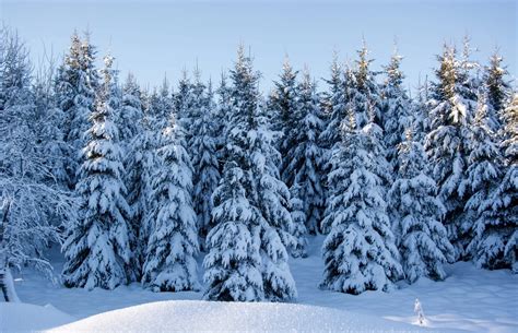 Ski Touring Dolomites - Guided ski tours in the Dolomites