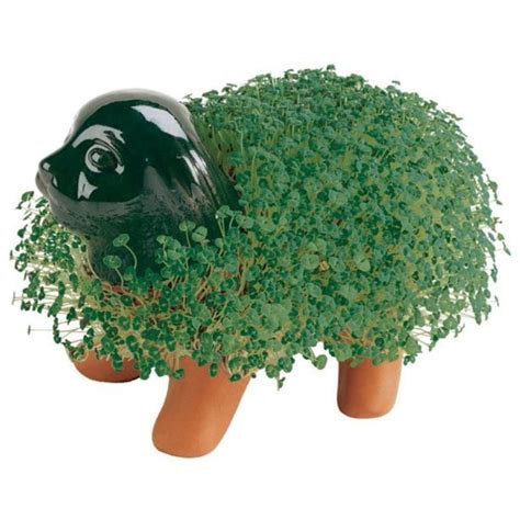 Buy Chia Pet Puppy (Store Pickup Only) Online With Canadian Pricing - Urban Nature Store