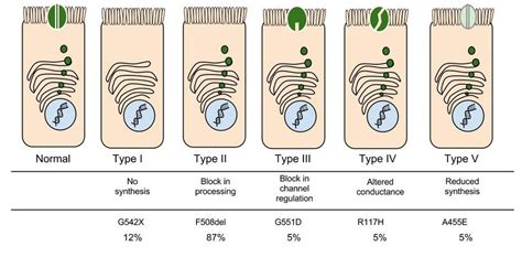 Case Study: Cystic Fibrosis