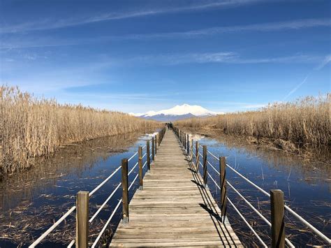 Brown Wooden Bridge over the River · Free Stock Photo