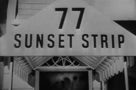 77 Sunset Strip: Complete Series — NETWORK 33