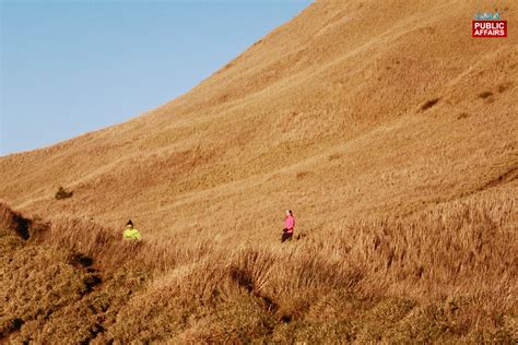 The long hike up: Overcoming the Mount Pulag challenge │ GMA News Online