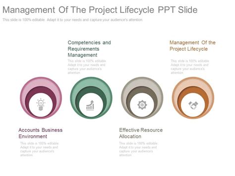 Management Of The Project Lifecycle Ppt Slides