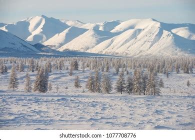 Oymyakon Yakutia Russia Winter Landscape Snowcovered Stock Photo ...