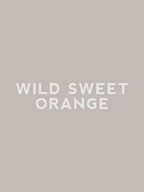 Tazo Wild Sweet Orange Tea - Caffeine Free | Eurasia Coffee Co.