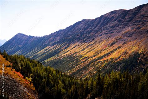 The fall colors in the Rocky Mountains Stock Photo | Adobe Stock