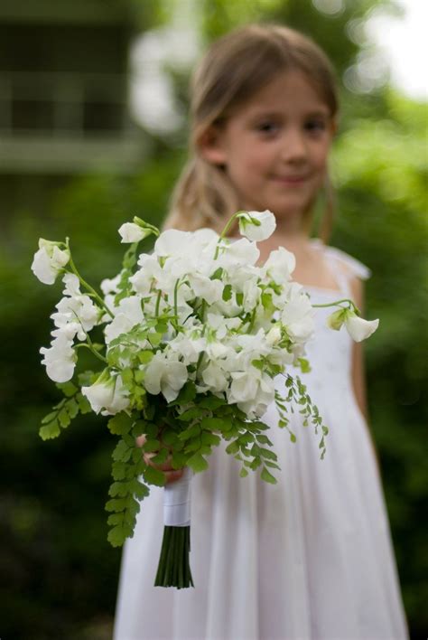Sweet pea flowers and maidenhair fern | Spring wedding bouquets, Sweet pea bouquet, Sweet pea ...