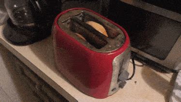 Toaster Bagels GIF - Toaster Bagels - Discover & Share GIFs