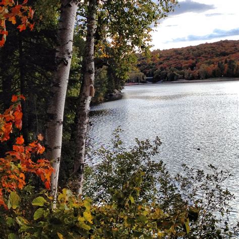 -Arrowhead Provincial Park Ontario Canada | Ontario provincial parks, Camping n, Park