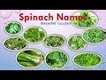 keerai vagaigal(Names) in Tamil and English With Images|spinach Names ...