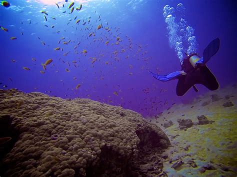 Scuba Diving The Red Sea In Photos | Halfway Anywhere