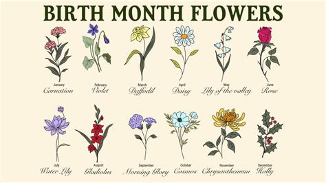 Discover the Delightful Birth Flower of January!