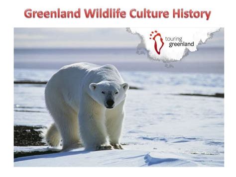 Greenland History And Culture