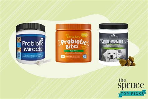 The 8 Best Probiotics for Dogs in 2021