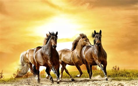 Running Horses Wallpaper - WallpaperSafari