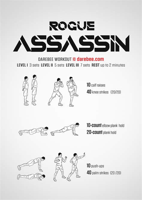 Rogue Assassin Workout