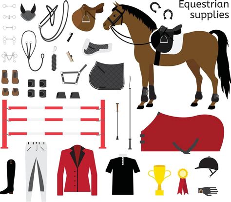 Vector set of horse riding equestrian equipment 17245442 Vector Art at Vecteezy