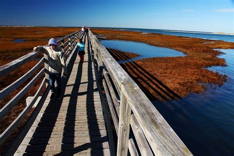 Bass Hole Boardwalk (Yarmouth Port) - Lo que se debe saber antes de ...