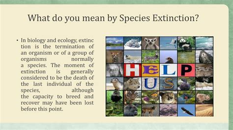 PPT - Species Extinction- Reasons and Effects? PowerPoint Presentation - ID:7780857