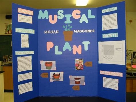 Music Affect Plant Growth Science Fair Project