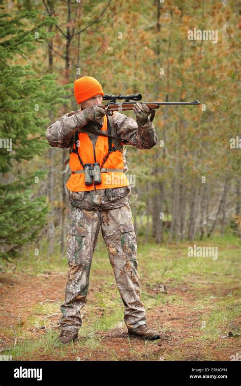 Hunter aiming rifle hi-res stock photography and images - Alamy