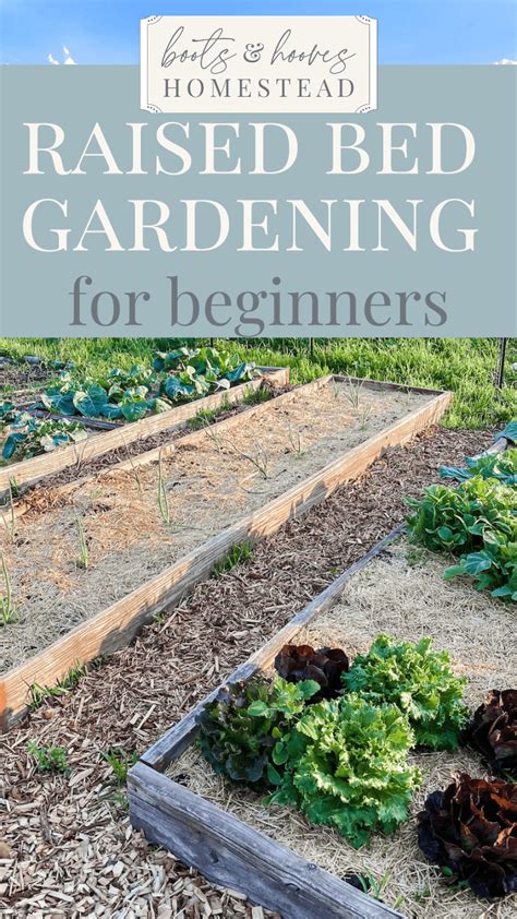 Raised Garden Beds: benefits for beginners - Boots & Hooves Homestead