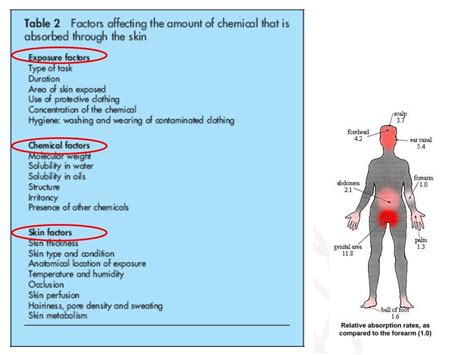 Why is dermal exposure important?