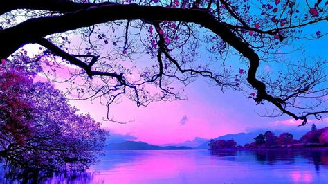 HD wallpaper: lake, water, beautyful, sky, evening, branch, purple sky ...