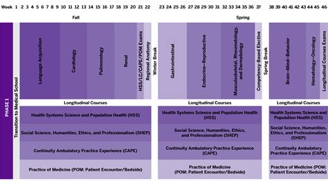 MD Curriculum | NYU Grossman Long Island School of Medicine | NYU ...