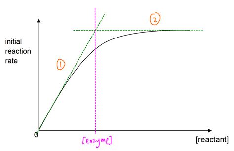 Rate Concentration Graph for Enzyme Catalysed Reaction