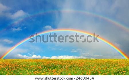 Rainbow Over Field Stock Photo 24600454 : Shutterstock