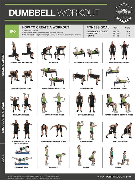 Fighthrough Fitness Dumbbell Workout Poster – The Fitness Store